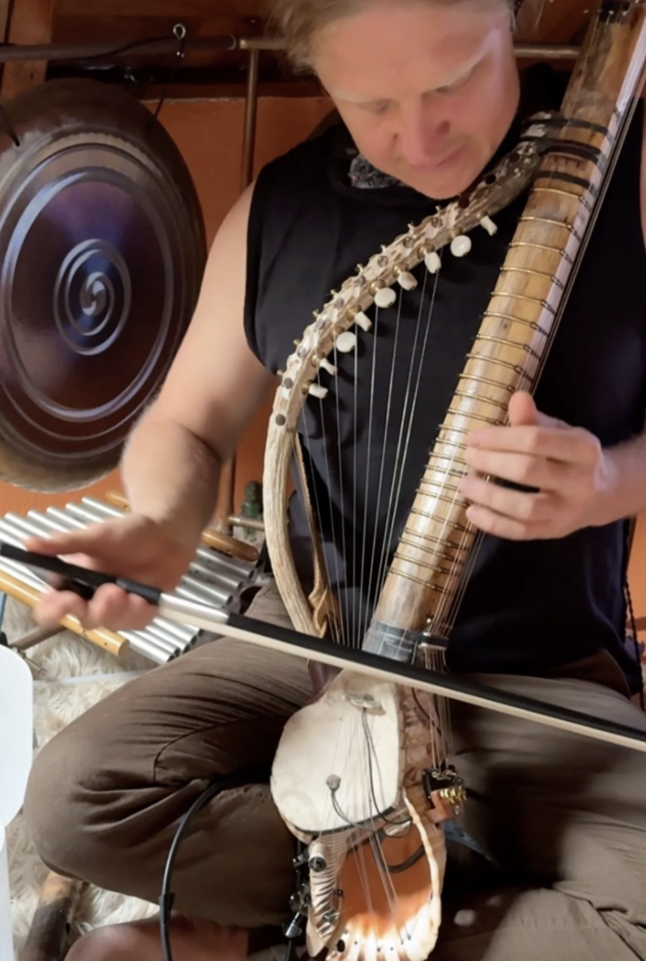Shellivarious — handcrafted instrument
